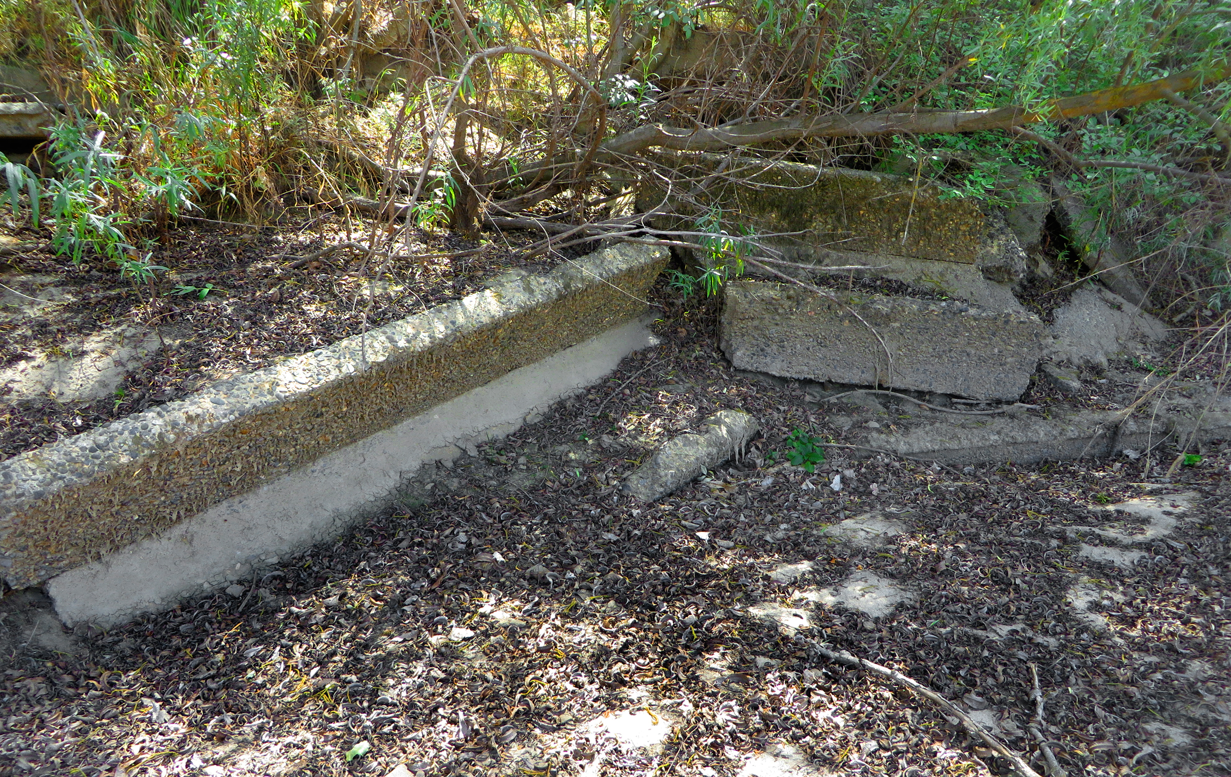 Concrete rubble on the south bank of Kings River, west of the Laton Bridge at Fowler Ave.