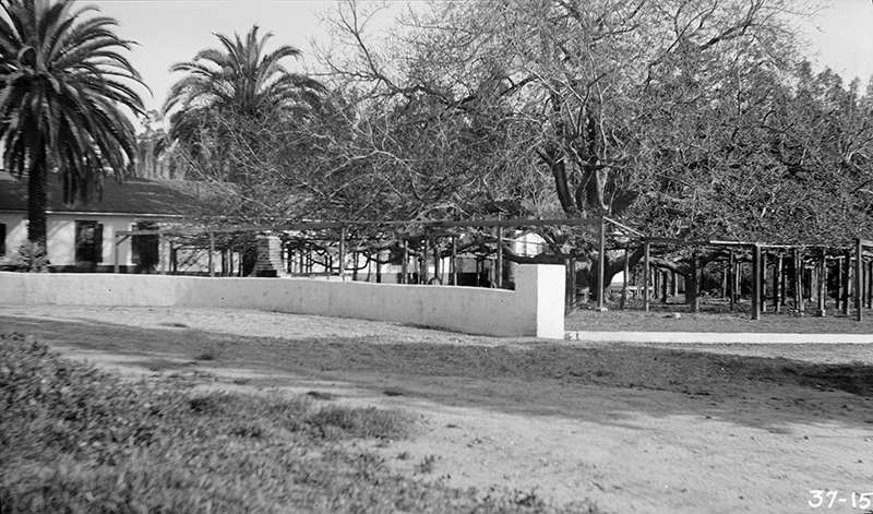 WEST FRONT FROM THE NORTHWEST