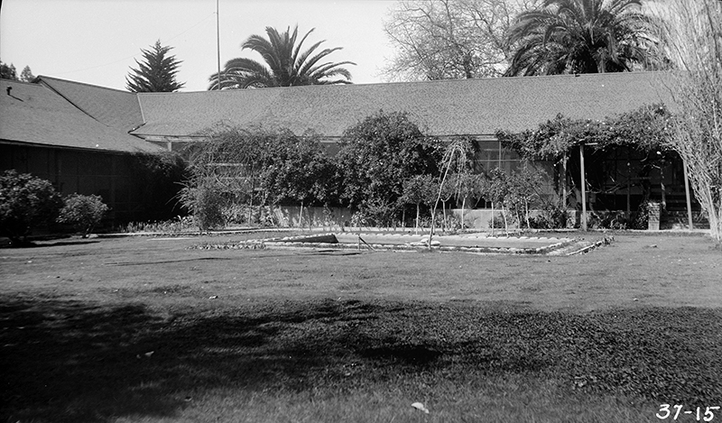 VIEW FROM THE EAST LOOKING INTO PATIO