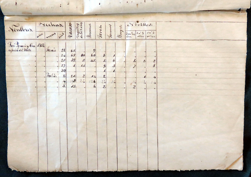 Jose Ygnacio y Conception del Valle