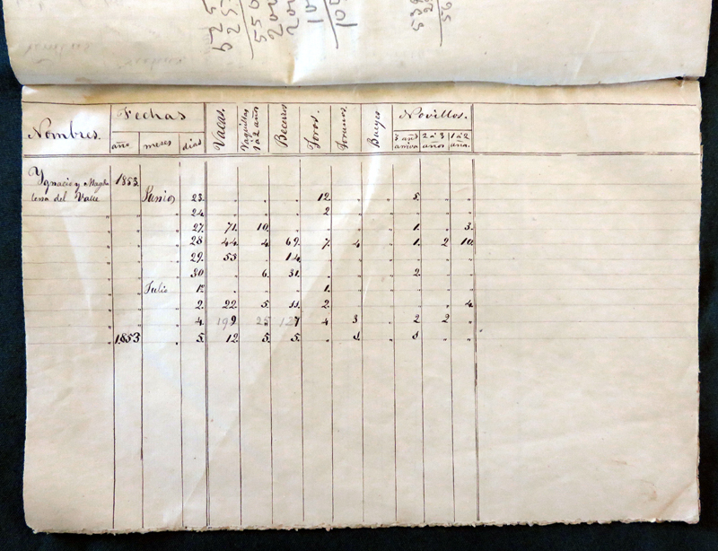 Ygnacio y Magdalena del Valle