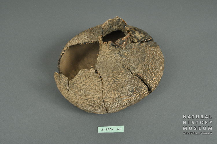 Tataviam Twined Water Bottle, Piru Creek | NHMLA #A.3306.36-64