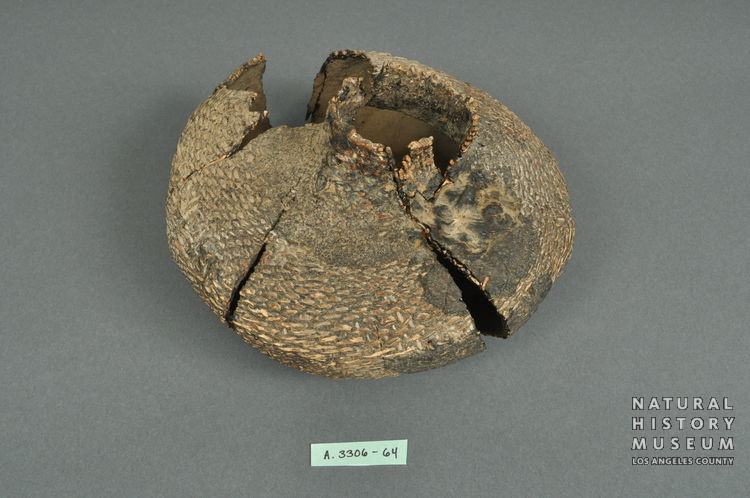 Tataviam Twined Water Bottle, Piru Creek | NHMLA #A.3306.36-64