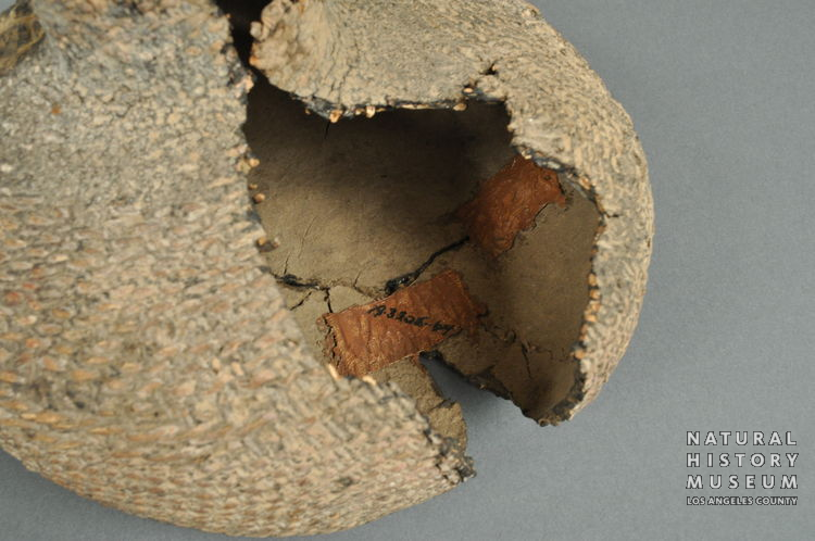 Tataviam Twined Water Bottle, Piru Creek | NHMLA #A.3306.36-64